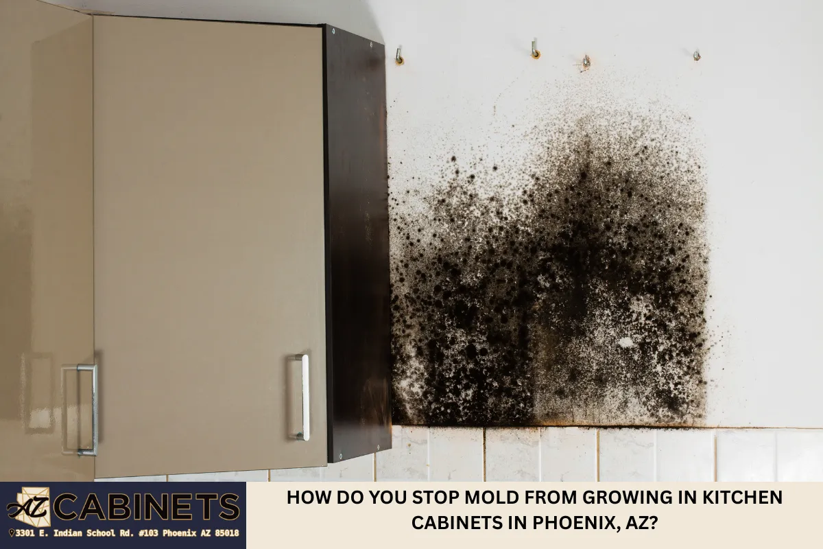 How Do You Stop Mold From Growing in Kitchen Cabinets in Phoenix, AZ?